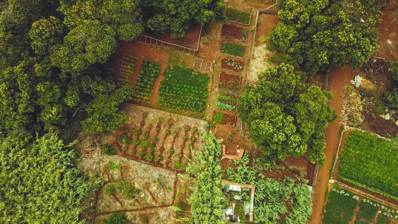 Quinta Dos Artistas Villa ซานตาครูซ ภายนอก รูปภาพ